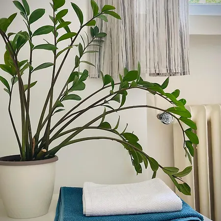 Boho In Old Town Bratislava