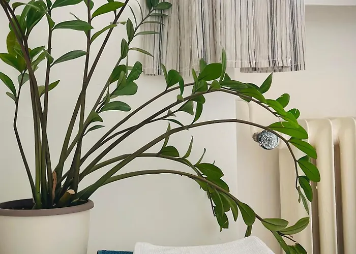 Boho In Old Town Братислава