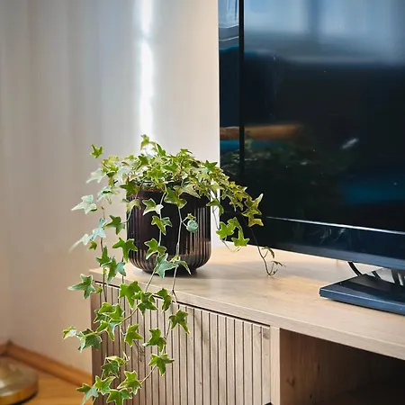 Boho In Old Town Appartement